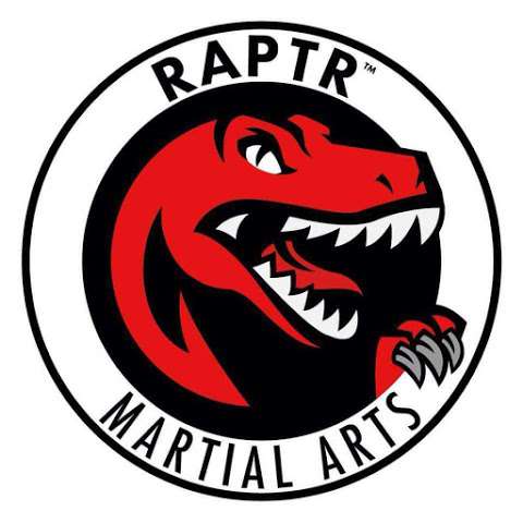 RAPTR Martial Arts photo